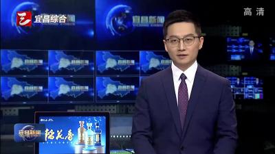 日均2.5万吨 宜昌柑橘销售进入高峰期