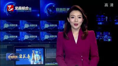 精心打造“城市绿角”  伍家岗区“上新”4个口袋公园