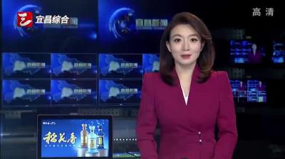 奋力绘就美丽宜昌新画卷