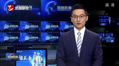 陈红辉到枝江调研柑橘销售及病虫害防控工作时强调 做好产销对接 筑牢防控屏障