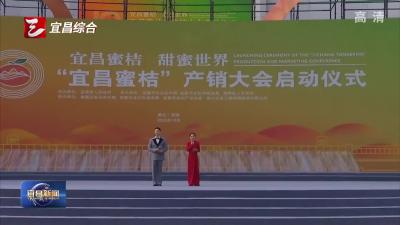 “宜昌蜜桔”产销大会现场签约销售柑橘21.6万吨