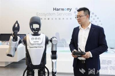 中国最大的鸿蒙创新中心在武汉建成，机器人管家未来能与万物对话  