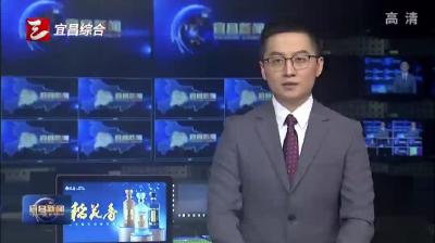 宜张高速全线通车 畅通区域循环 助力乡村振兴