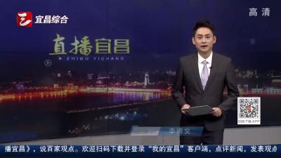 新场景新体验  茶乡遗址沉浸秀受热捧