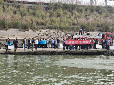 1400尾中华鲟回家了！