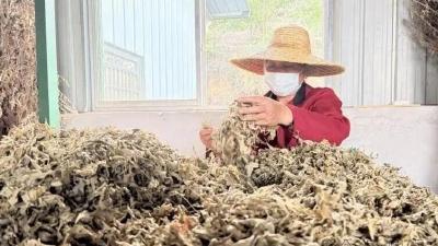 这事儿决不能放下！  