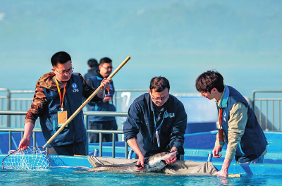 瞭望·治国理政纪事｜坚定推进长江“十年禁渔”  