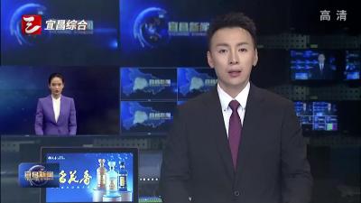 “好柑橘”卖出“好价钱” 我市积极拓展市场助力橘农增收