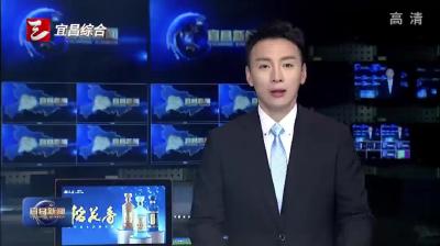 优质教育资源共建共享 全市各类教联体实现全覆盖