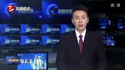 宜昌联创和洋年产一万吨硅碳负极新材料项目开工