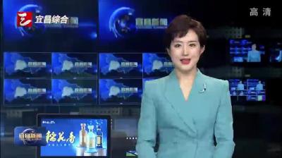 全市深化投融资体制改革工作专题会议召开