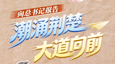 向总书记报告丨潮涌荆楚 大道向前  
