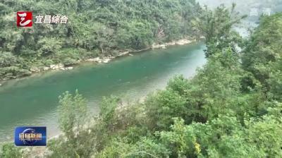 宜都：生态向好 候鸟翔集