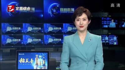 “鱼骨图”里绘就产业链招商新蓝图