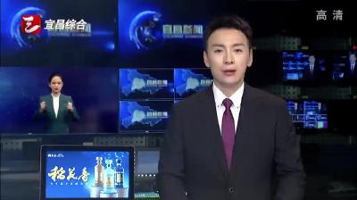 宜都：向“新”而行  跑出县域经济“加速度”