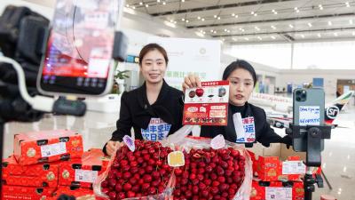 全国生鲜都先绕花湖？竟是为了更快到你家  