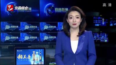 程用文在宜昌调研工业强县工程时强调 加快推动化工产业高端化智能化绿色化转型发展