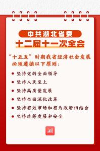 划重点丨未来五年，湖北工作重点定了