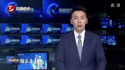 陈红辉在政府系统宣讲党的二十届四中全会精神