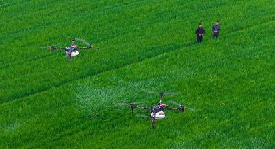 从“零散田”到“聚宝盆”——襄城探索适度规模经营新路径