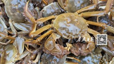 借侨“出海”！让汉川好物“游”向世界