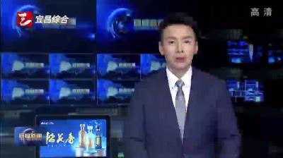 市委常委会召开会议