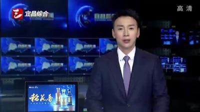 市委理论学习中心组举行集体学习深学细悟党的二十届四中全会精神