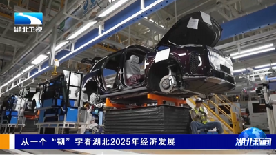 从一个“韧”字看湖北2025年经济发展  