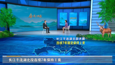 省生态环境厅党组书记、厅长严天文：深入实施美丽湖北战略 为支点建设提供坚实生态环境支撑  