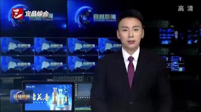 首批全人工繁殖子三代中华鲟成功诞生