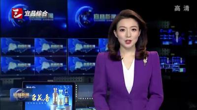 市政府召开常务会议