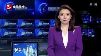 安琪集团以微生物技术点亮农业“绿色未来”