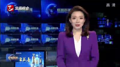 市政府党组理论学习中心组开展集体学习