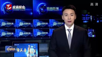 兴发集团兴顺磷酸铁锂厂与比亚迪合作生产线投运