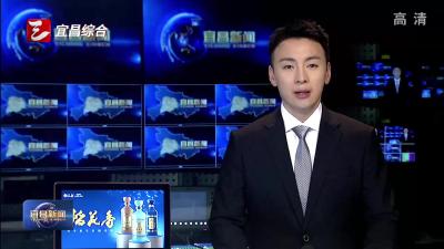 同步攻坚 枝江长江大桥冲刺4月合龙