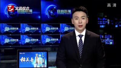 赵乐际在湖北调研