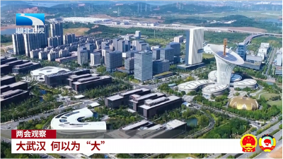 两会观察｜大武汉 何以为“大”  