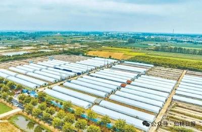 开局起步！看千亿之城仙桃的新年新气象