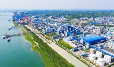 向绿蝶变创未来——从城乡三地变迁看宜昌长江大保护十周年