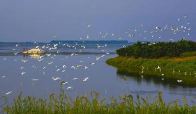 十年，宜昌答卷！
