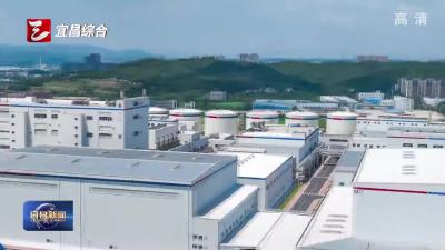 安琪集团2025年营收超240亿元