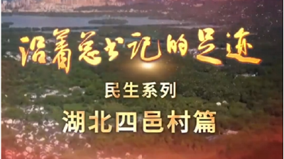 《沿着总书记的足迹·民生系列》湖北四邑村篇  