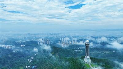 “城市绿肺”展生态画卷