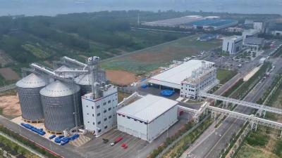 新春走基层丨策马开新局 奋战开门红