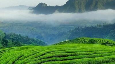 “空壳村”逼出“金点子”