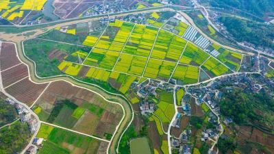 育秧“流水线” 辣椒“坐电梯” ——宜昌春耕春管“智”绘“丰”景