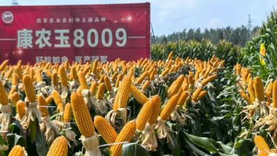 康农种业与华中农业大学签订协议  共建湖北省替代蛋白技术创新中心