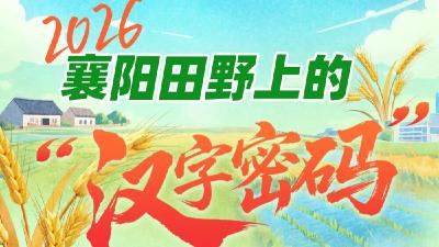 省委一号文件落地襄阳，在田野上“长”出了八个汉字  