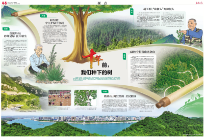 十年前，我们种下的树——这抹跨越时光的绿是对保护长江的铿锵回答