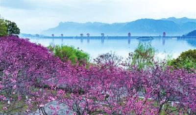 屈原故里春意浓